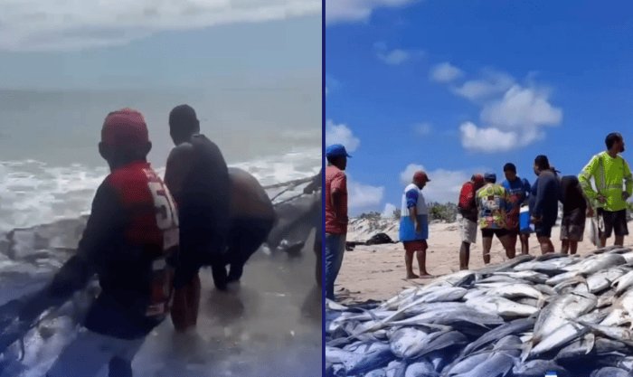 Leia mais sobre o artigo Pescadores de Galos celebram captura de cerca de 6 toneladas de xaréu e bonito em Galinhos