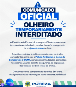 Leia mais sobre o artigo Olheiro de Pureza é fechado para banho após aparecimento de jacaré-coroa