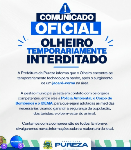 Leia mais sobre o artigo Olheiro de Pureza é fechado para banho após aparecimento de jacaré-coroa