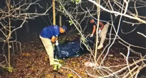 Leia mais sobre o artigo Corpo encontrado em área de mata pode ser de professor desaparecido