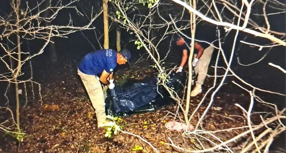 No momento, você está visualizando Corpo encontrado em área de mata pode ser de professor desaparecido