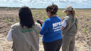 Leia mais sobre o artigo Operação Mata Atlântica em Pé identifica mais de 30 hectares de desmatamento ilegal no RN e multas passam de R$ 2,8 mi