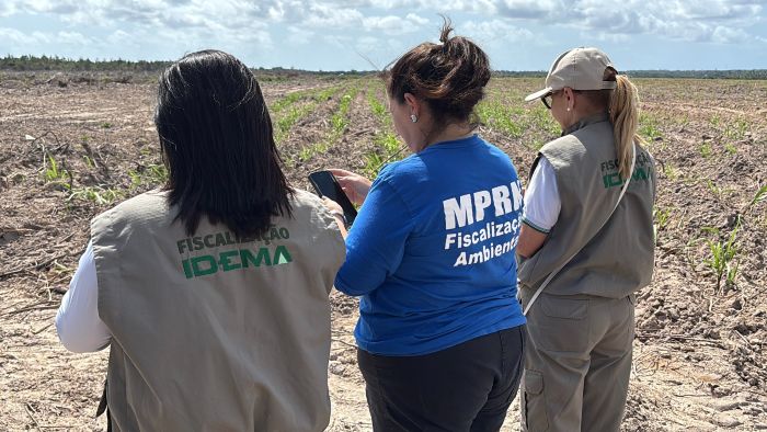 Leia mais sobre o artigo Operação Mata Atlântica em Pé identifica mais de 30 hectares de desmatamento ilegal no RN e multas passam de R$ 2,8 mi
