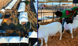 Leia mais sobre o artigo 5ª Agropec começa nesta sexta-feira e reúne agropecuária, cultura e entretenimento em Jandaíra