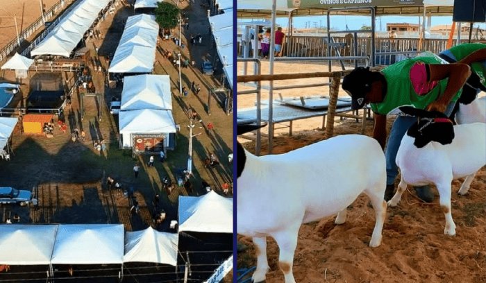 No momento, voc&ecirc; est&aacute; visualizando 5&ordf; Agropec come&ccedil;a nesta sexta-feira e re&uacute;ne agropecu&aacute;ria, cultura e entretenimento em Janda&iacute;ra