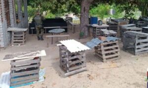 Leia mais sobre o artigo Polícia Ambiental apreende 27 galos em local usado para rinhas em Natal