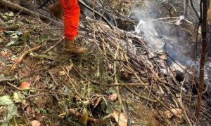 Leia mais sobre o artigo Colombianas que morreram na queda de helicóptero eram avó, mãe e filha