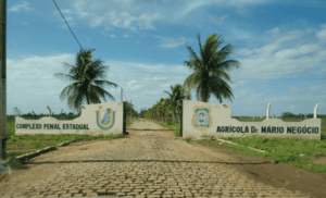 Leia mais sobre o artigo Detento morre após briga em cela da Penitenciária Dr. Mário Negócio, em Mossoró