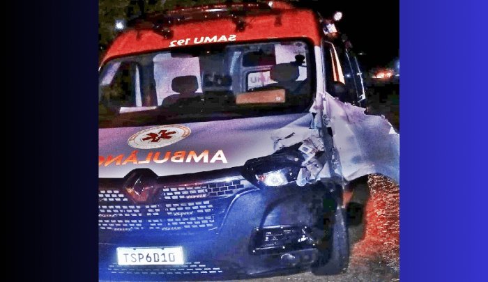 Leia mais sobre o artigo Animal solto na pista provoca acidente com ambulância do SAMU no interior do RN