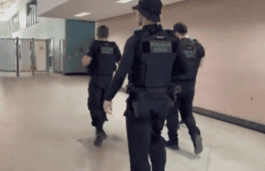 Leia mais sobre o artigo Megaoperação no Detran: Polícia Civil cumpre 20 mandados de busca e afasta 5 servidores