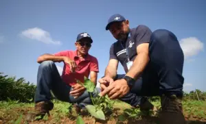 Leia mais sobre o artigo Reforma tributária chega ao campo e exige atenção de produtores e cooperativas