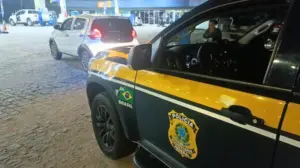 Leia mais sobre o artigo Motociclista morre após atropelar animal na BR-101