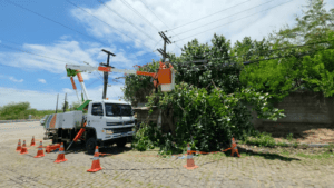 Leia mais sobre o artigo Inspeções em 18,7 mil km de rede resultam em mais de 50 mil podas preventivas no RN