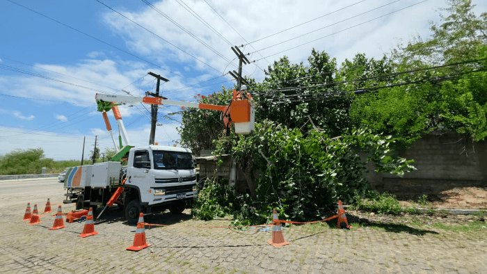 Leia mais sobre o artigo Inspeções em 18,7 mil km de rede resultam em mais de 50 mil podas preventivas no RN