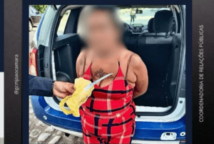 Leia mais sobre o artigo Guarda Municipal prende mulher após tentativa de homicídio com uso de arma branca