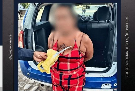 Leia mais sobre o artigo Guarda Municipal prende mulher após tentativa de homicídio com uso de arma branca