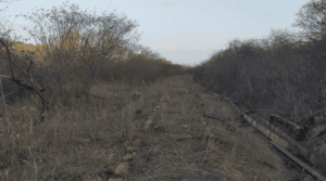 Leia mais sobre o artigo PM frustra furto de quase 1 km de trilhos ferroviários no município de Pedra Preta/RN