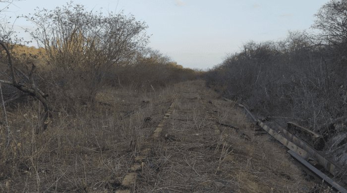 No momento, voc&ecirc; est&aacute; visualizando PM frustra furto de quase 1 km de trilhos ferrovi&aacute;rios no munic&iacute;pio de Pedra Preta/RN