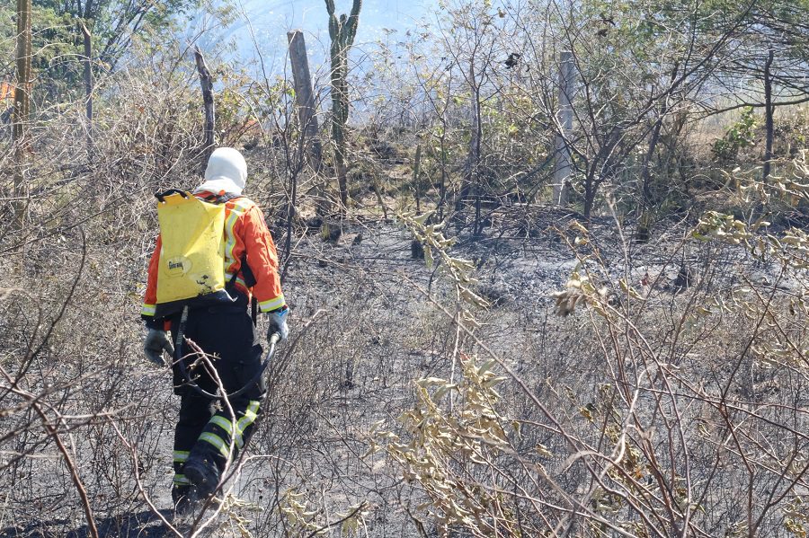 Leia mais sobre o artigo Incêndio atinge caminhões carregados de madeira e áreas próximas ao IBAMA em Mossoró