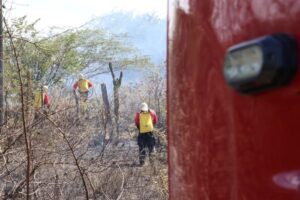 Leia mais sobre o artigo Mais de 1,8 mil incêndios em vegetação são registrados no RN em 2026