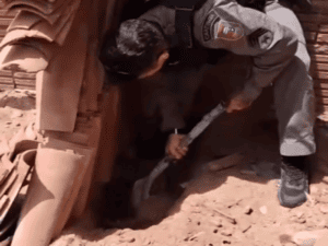Leia mais sobre o artigo Polícia desenterra 15 argolas furtadas de túmulos e encontra material escondido em muro de casa