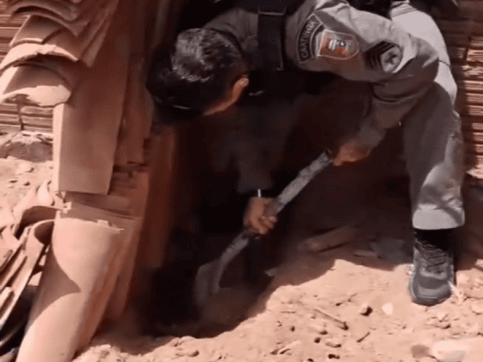 Leia mais sobre o artigo Polícia desenterra 15 argolas furtadas de túmulos e encontra material escondido em muro de casa