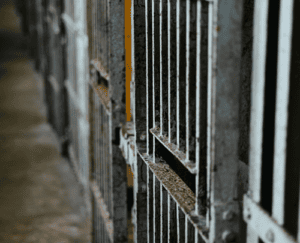 Leia mais sobre o artigo MPF tem novo representante no Conselho Penitenciário do RN