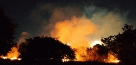 Leia mais sobre o artigo Incêndio atinge área de vegetação seca no campus central da UFRN, em Natal